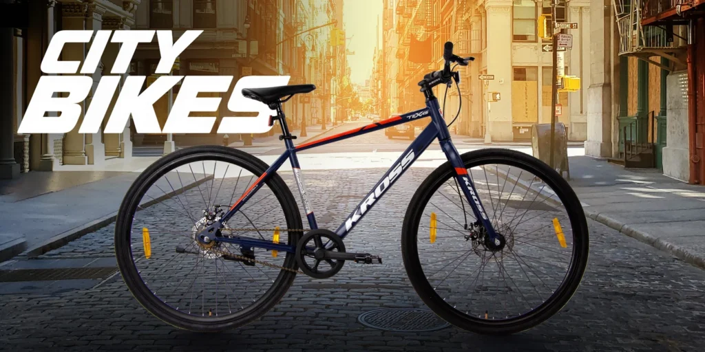 The Evolutionary History of the Bicycle